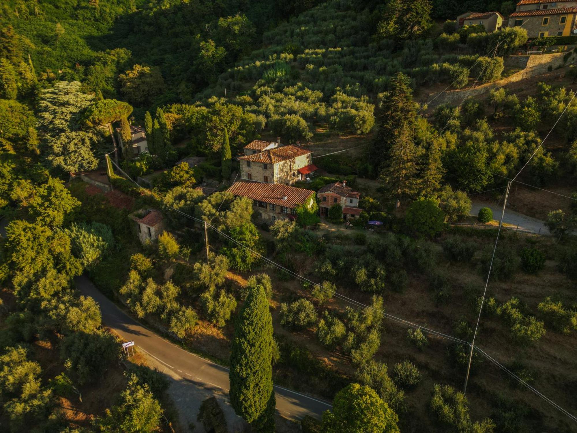 Orto Dei Bruchi Collodi Exterior foto